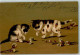 10674607 - Zwei Katzen Spielen Mit Weidenkaetzchen WV 5654 Kuenstlerkarte - Kley