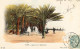 Delcampe - Lot De 20 CPA Algérie    ///  Ref. Mai 24 ///  N° 29.633 - 5 - 99 Postales