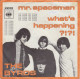 THE BYRDS - Mr. Spaceman - Other - English Music