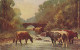 AK 210370 COW / KUH ... - Cows