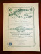 COMPANHIA COLONIAL  DE NAVEGAÇAO SA ,Lobito (Portuguese Angola)  5 Shares Single Certificate  1922 - Scheepsverkeer