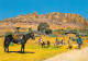LESOTHO Lessouto Route De MATSIENG Carte Vierge Non Circulé (Scans R/V) N° 55 \MP7102 - Lesotho
