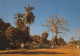 SENEGAL DAKAR Paysage De CASAMANCE  (Scan R/V) N° 56 MP7119 - Senegal