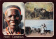 CAMEROUN Du Nord Femme KIRDI Lion WAZA Kousseri Non Circulé Format  17 X 11,8 Cm Photo Denis (Scan R/V) N° 87 \MP7122 - Camerun