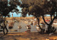 17 Saint-Pierre-d'Oléron LA COTINIERE   Le Port à Travers Les Arbres (Scan R/V) N° 34 \MP7146 - Saint-Pierre-d'Oleron