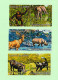 Lot De 42 Timbres République Du Burundi - Animaux Sauvage - Insectes - Poissons - - Collezioni