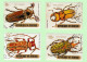 Delcampe - Lot De 42 Timbres République Du Burundi - Animaux Sauvage - Insectes - Poissons - - Collezioni