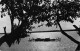 NIGER Barques Et Pirogues Sur Le Fleuve édition Souchette à NIAMEY  (Scan R/V) N° 66 \MP7166 - Niger