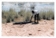 BURKINA-FASO SABOU Crocodiles Sacrés De Sabou édition Phot Agfa   (Scan R/V) N° 36 \MP7167 - Burkina Faso