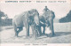 Sril Lanka - Elephants In Colombo - Publ. Comprimés Vichy-Etat  - Sri Lanka (Ceylon)