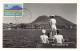 Sint Eustatius - General View From The Sea - REAL PHOTO - Publ. Unknown  - Saint-Eustache