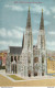 CPA Catholic Cathedral,Helena,Montana-8249-RARE      L2145 - Helena