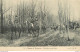 CPA Chasse à Courre-Cavaliers Sous Bois     L1188 - Hunting