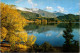 7-5-2024 (4 Z 21) New Zealand - Lake Wanaka  (2 Postcards) - Nouvelle-Zélande