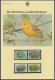 WWF Barbados 770-773 Tiere Vögel Goldwaldsänger Kpl. Kapitel Bestehend - Barbades (1966-...)