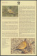 WWF Barbados 770-773 Tiere Vögel Goldwaldsänger Kpl. Kapitel Bestehend - Barbades (1966-...)