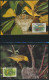 Delcampe - WWF Barbados 770-773 Tiere Vögel Goldwaldsänger Kpl. Kapitel Bestehend - Barbados (1966-...)