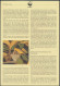 Delcampe - WWF Barbados 770-773 Tiere Vögel Goldwaldsänger Kpl. Kapitel Bestehend - Barbades (1966-...)