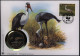 Numisbrief Malawi Klunkerkranich Medaille 30 Jahre WWF Tiere Vögel - Other & Unclassified