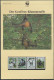 WWF Honduras 1084-1087 Der Geoffrey-Klammeraffe Kpl. Kapitel Bestehend - Honduras