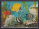 3 D Color Ansichtskarte Fische Aquarium Wasserpflanzen Printing Studio Zürich - Unclassified