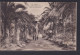 Ansichtskarte Oran Palmenallee Algerien Ab Bremen Nach Altona 19.02.1928 - Non Classés