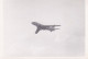 AVIATION TUPOLEV RUSSE 1957 - Luchtvaart