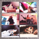 China Postcard 【 Close Up Of Pet Cat Meow Star Man 】 12 Postcards - China