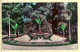 08371 / LUCHON (31) Le Parc Du CASINO Parterre Fleurs Reine Des PYRENEES 1950s Réal Photo C.A.P. 55-Haute Garonne - Luchon