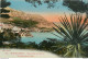 CPA Monaco-Monte Carlo-Vue Entre Les Arbres     L1070 - Monte-Carlo