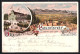 Lithographie Bonn, Kaiser-Wilhelmshöhe Oberhalb Kessenich, Pension Casselsruhe, Panorama  - Bonn