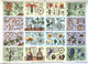 Pédagogie Ecole Images Coupes Anatomie Plantes 2 Planches Scolaires Arnaud Dechaux éditeur 1950 état Superbe - Materiaal En Toebehoren