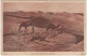 1122   Dans Les Dunes Du Sahara.  - (l'Algérie) - 1928 - Oran