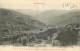 68 - LA PETITE VALLEE DE MUNSTER AU DESSUS DE LA VILLE DE MUNSTER (HAUTE ALSACE) - Ad. Weick Saint Dié - N° 7387 Bis - Munster