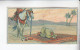 Stollwerck Album No 4 Mensch Und Pferd  Betender Beduine   Grp 169#3 Von 1900 - Stollwerck