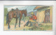 Stollwerck Album No 4 Mensch Und Pferd  Cowboy    Grp 169#4 Von 1900 - Stollwerck
