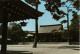 TOKYO - Meiji Shrine - Tokio