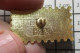 715D Pin's Pins / Beau Et Rare : POSTES / LA POSTE PARIS EVANILE EN FORME DE TIMBRE - Post