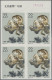 Delcampe - China (PRC): 1963, Gold Hair Apes Set (S60) In Top-imprint Margin Blocks Of Four - Ongebruikt