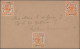 Delcampe - China - Shanghai: 1865/1897, Comprehensive Collection Of Shanghai Local Post In - Altri & Non Classificati