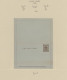 Delcampe - China - Shanghai: 1873/1893, Collection Of Stationery In Large SAFE Hingeless Al - Otros & Sin Clasificación
