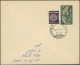 Israel: 1949/1959, Holding Of Apprx 210 Covers/cards/used Stationeries, Comprisi - Lettres & Documents