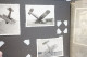 Delcampe - 2. WK WW2 Fotoalbum Kampfflieger Flugstaffel Soldaten Militaria Mit Insgesamt 186 Fotos 1936-1943 - 1939-45