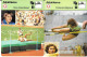 GF1998 - FICHES EDITION RENCONTRE - ILONA GUSENBAUER - YORDANKA BLAGOEVA - WILMA BARDAUSKIENE - JANIS LUSIS - Atletismo