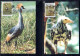 TRANSKEI SOUTH AFRICA 1991 BIRD FAUNA BIRDS COMPLETE SET SERIE COMPLETA MAXI MAXIMUM CARD CARTE - Transkei