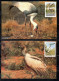 TRANSKEI SOUTH AFRICA 1991 BIRD FAUNA BIRDS COMPLETE SET SERIE COMPLETA MAXI MAXIMUM CARD CARTE - Transkei