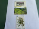 - 3 - St Helena 3 Different Phonecards - St. Helena Island