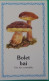 Petit Calendrier De Poche 1991 Champignon Bolet Bai - Tamaño Pequeño : 1991-00