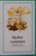 Petit Calendrier De Poche 1990 Champignon Hydne Commun Pharmacie St Clément La Rivière Hérault - Petit Format : 1981-90