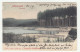 Marienbad Old Postcard Posted 1903 B240503 - Tsjechië